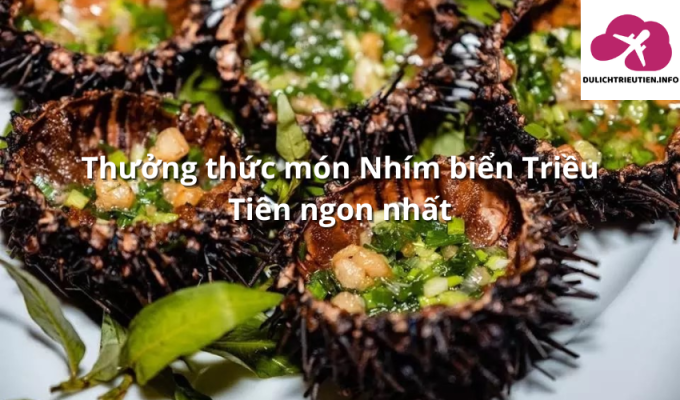 Thưởng thức món Nhím biển Triều Tiên ngon nhất